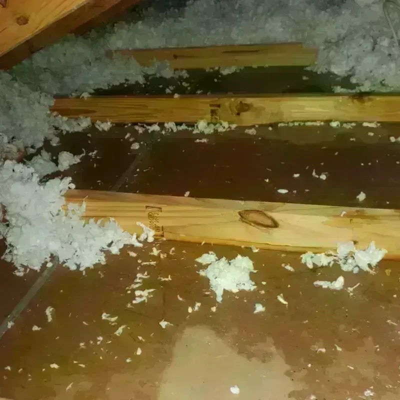 Attic Water Damage in Johnson County, WY