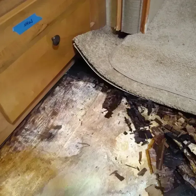 Wood Floor Water Damage in Johnson County, WY